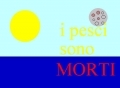 IL MARE BELL