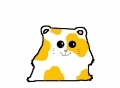 hamster