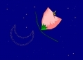 flower in the sky