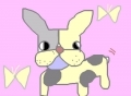my pet