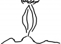 l\\'orgine du monde!