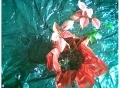 Photo to a Flower
