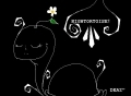 -------- night tortoise --------