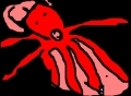 octo