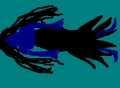 mer