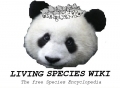 Panda Bear logo