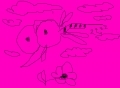 icaro