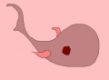 pink whale