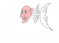 Pesce Lapo
